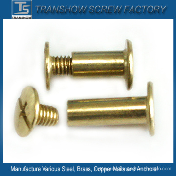 Slotted Philips Combination Drive Brass Screw with Sleeve Nuts